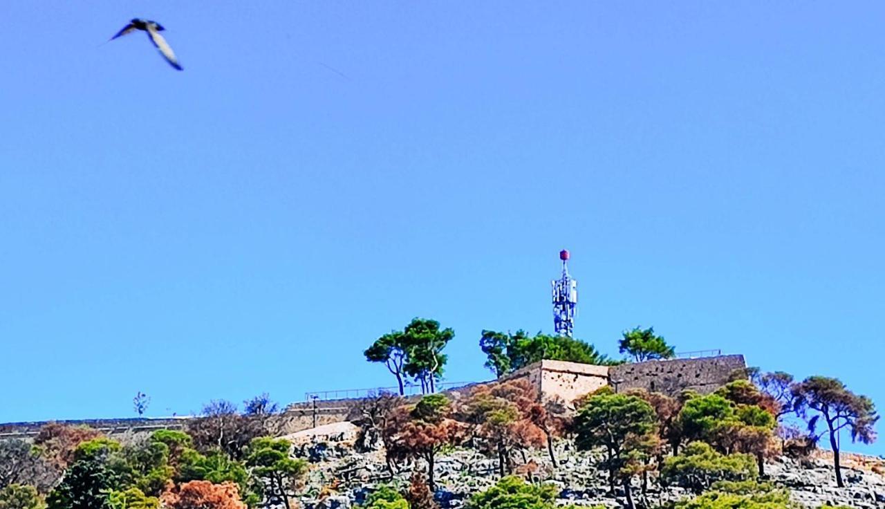 Falcons Nest Šibenik Exteriör bild